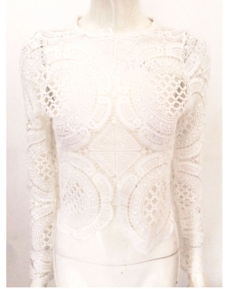 White Embroidery Crochet Lace Crop Top