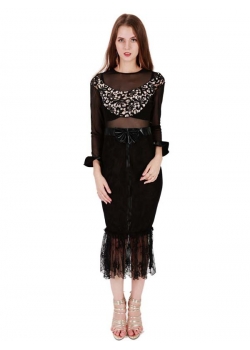 Black Sheer Mesh Insert Party Dress Women