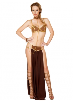 Sexy Female Cosplay Costume 