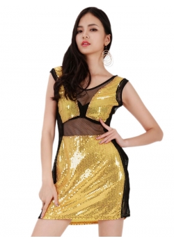 Sexy Sheer Gold Sequin Party Dress