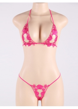 Sexy Pink Lingerie Bra Set