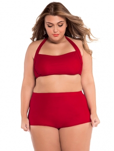 Alibaba Showcase Plus Size High Waist Swimwear