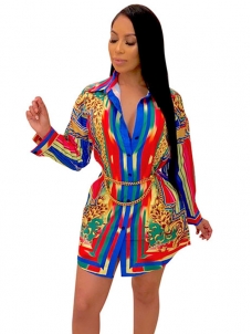 Women Colorful Long Sleeve T Shirt Mini Dress