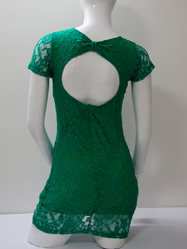 Hot Elegant Floral Lace Dress Green