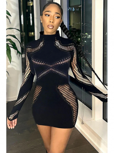Women Lace Mesh See Through O-neck Bodycon Mini Dress