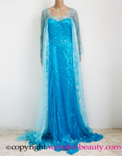 Elsa Dress Cosplay Costume in Frozen