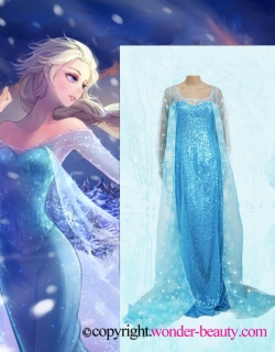 Snow Queen Elsa In Frozen Cosplay Costume