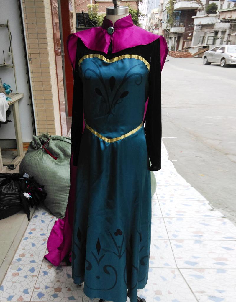 Adult Elsa Costume