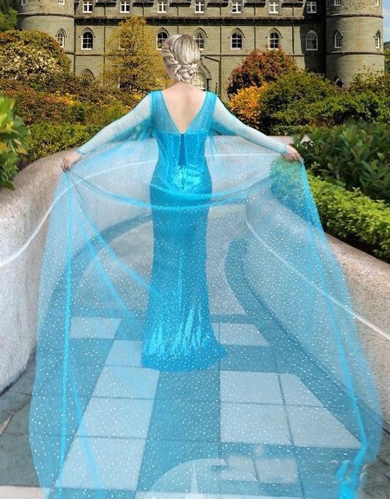 Adult Elsa Costume