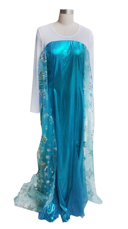 Adult Elsa Costume