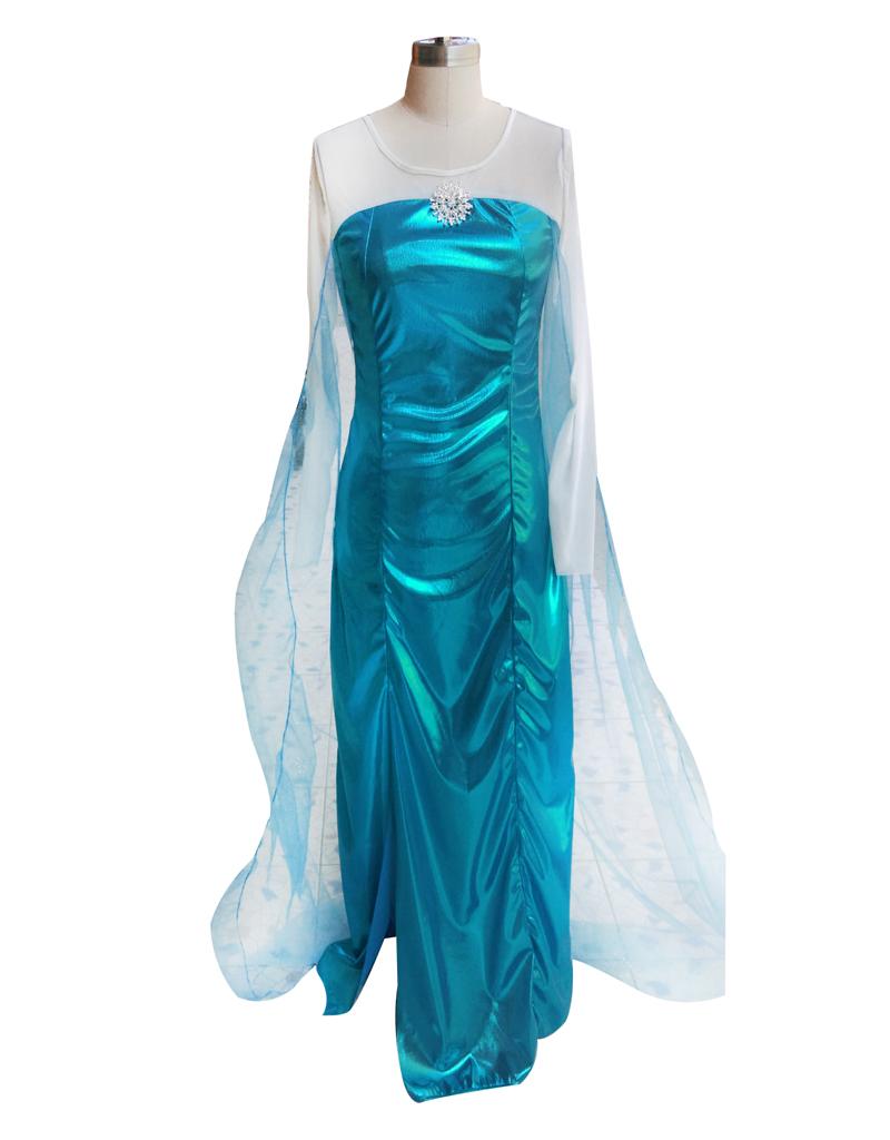 Adult Elsa Costume