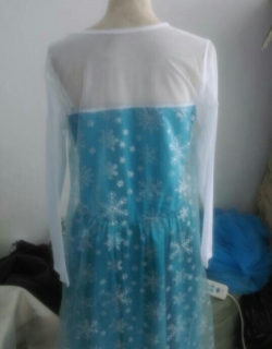 Adult Elsa Costume