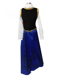 Adult Elsa Costume