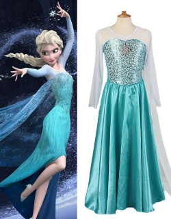 Adult Elsa Costume