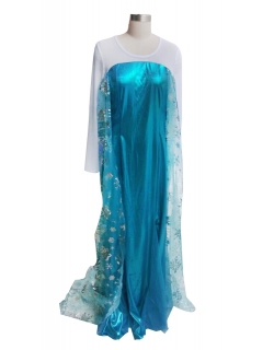 Adult Elsa Costume