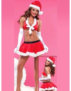 Sexy Women Christmas Costume