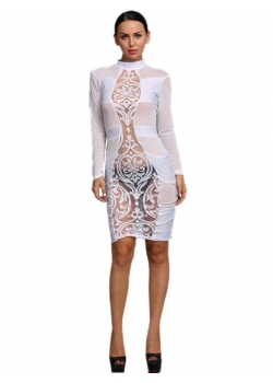 Mesh Long Sleeves Dresses For Women