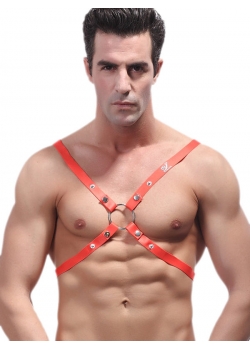 Sexy Mens Climbing Harness