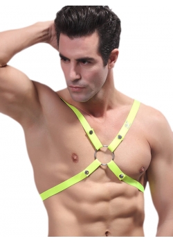 Sexy Mens Climbing Harness