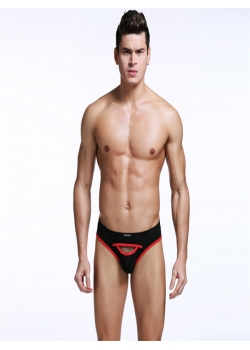 Sexy Mens Peek a Boo Briefs