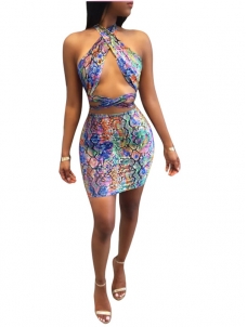 Colorful Halter Sexy Bodycon Mini Dress