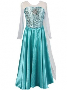 Adult Elsa Costume