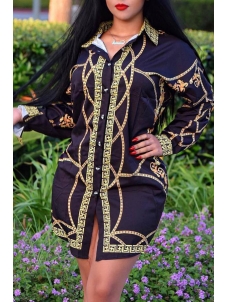 Euramerican Turndown Collar Printed Dress 