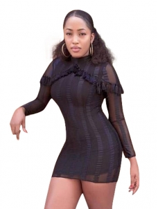 Round Neck See-Through See-Through Lace Dress