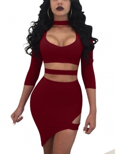 Wine Red Sexy Turtleneck Hollow-out Mini Dress 