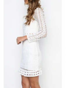 Lace Casual O neck Long Sleeve  Mini Dresses 