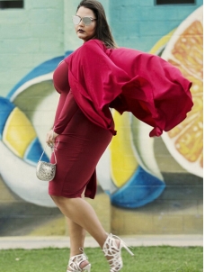 Wine Red Long Sleeve Women Plus Size Dress