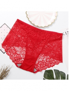 10 Colors M-L Floral Lace Seamless Underwear