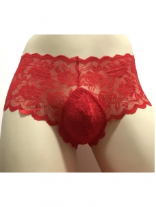 5 Colors Mens Lace Sexy Transparent Underwear 