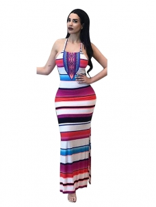 Colorful Elegant Sleeveless Party Evening Maxi Dress