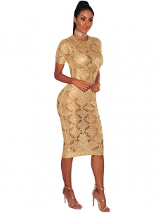 Golden Hollow Out Crochet Sparkly Bodycon Dress