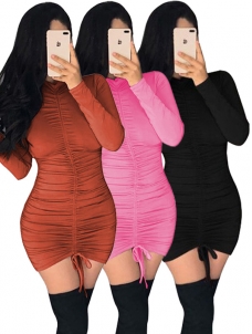 High Neck Women Long Sleeve Mini Dress