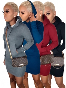 Women Long Sleeve Winter Sport Mini Dress