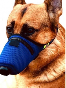 Dog Waterproof PM2.5 Double Filter Breathable Activated Carbon N95 Mask
