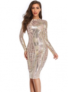 Women Long Sleeve Midi Dress