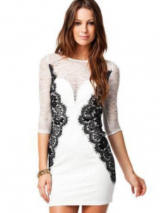 Fashion Long Sleeve Beauty Lace Bodycon Dress