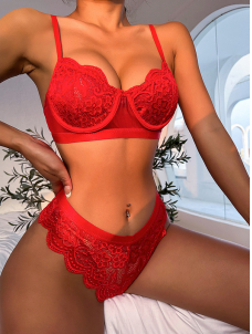 Women Lace Bra Lingerie