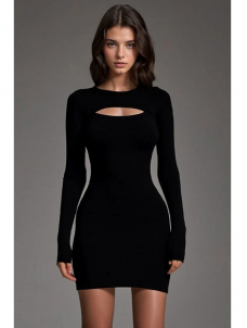 Women Sexy Long Sleeve Bodycon Mini Dress