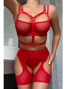 Women Sexy Valentines Bra and Gater Lingerie