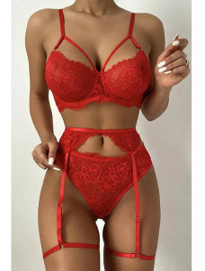 Women Sexy Valentines Bran and Gater Lingerie