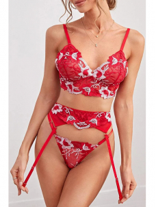 Women Sexy Valentines Bra and Gater Lingerie