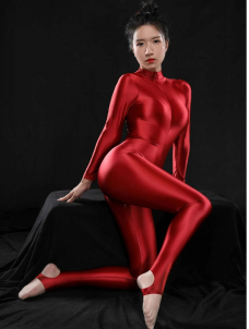 Women Shiny Zipper Catsuit Long Sleeve High Neck Tigh Bodysuit